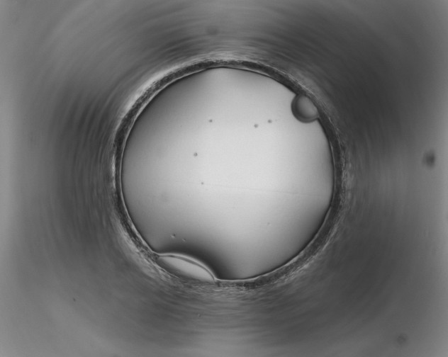 X0000116280934200912211816