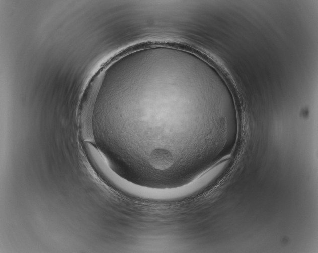 X0000116280935200912211816