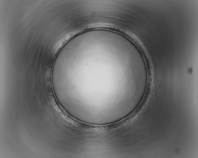 X0000116280937200912211816