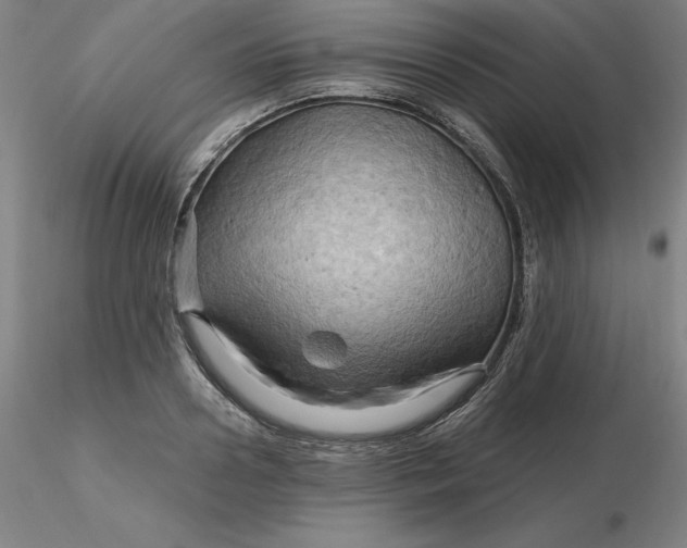 X0000116280938200912211816