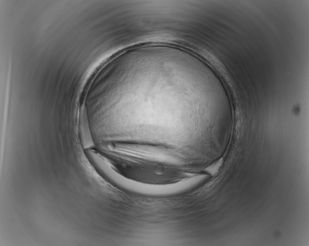 X0000116280939200912211816