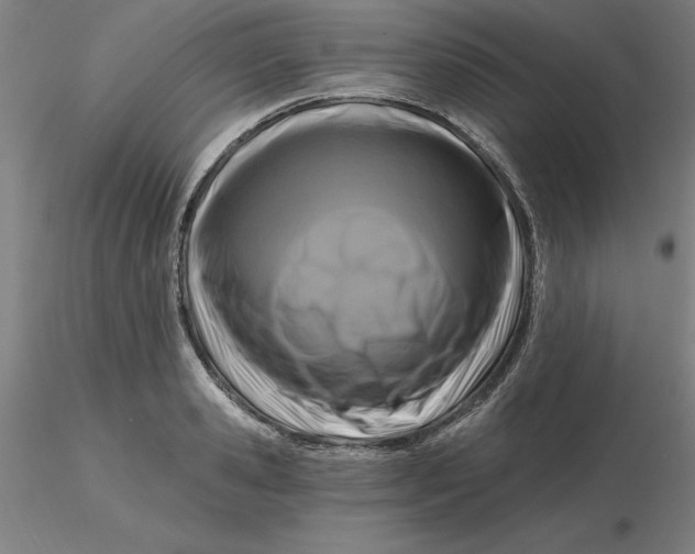 X0000116280941200912211816