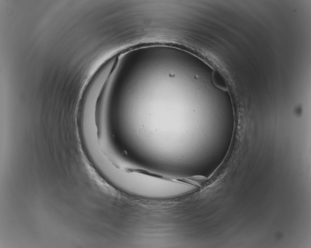 X0000116280942200912211816