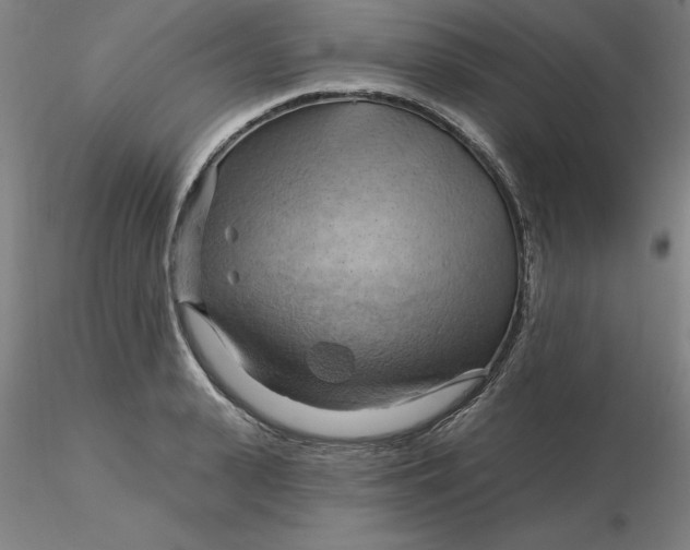 X0000116280943200912211816