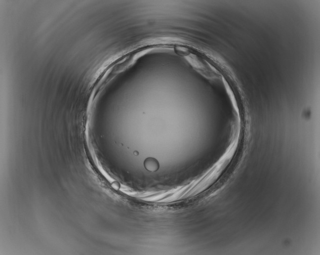 X0000116280945200912211816