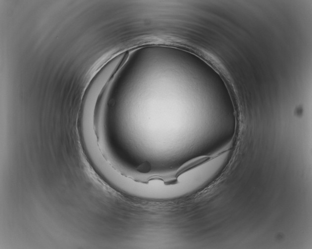 X0000116280946200912211816