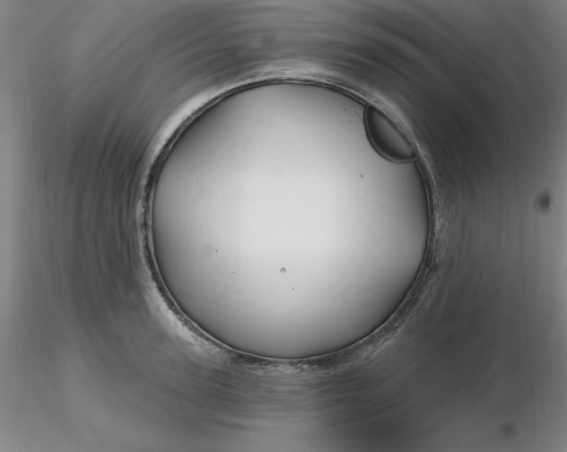 X0000116280947200912211816