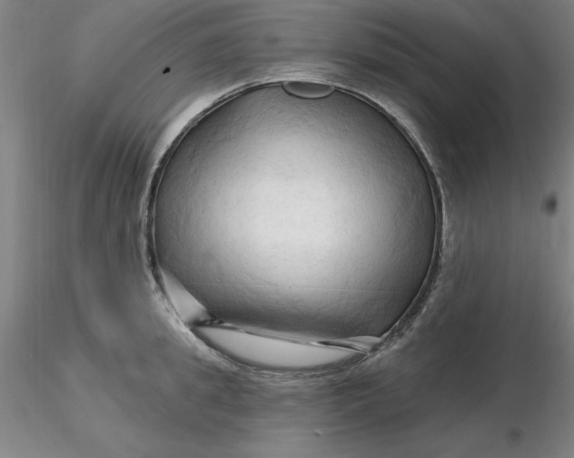 X0000116280949200912211816