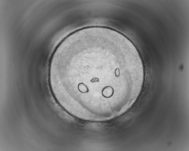 X0000116280950200912211816