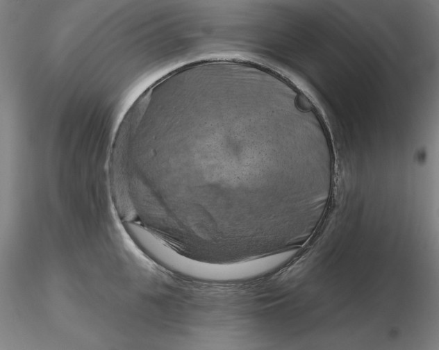 X0000116280951200912211816