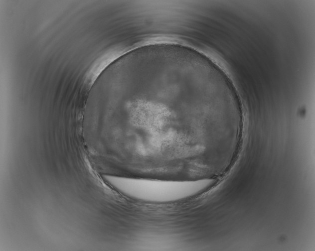 X0000116280953200912211816