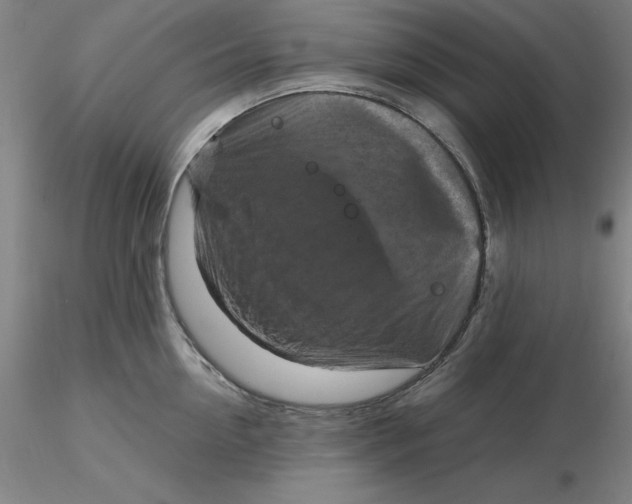 X0000116280954200912211816