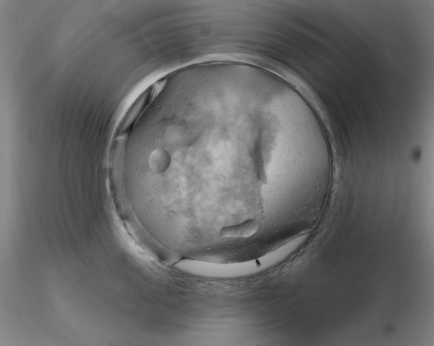 X0000116280955200912211816