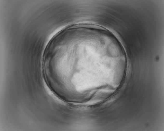 X0000116280957200912211816