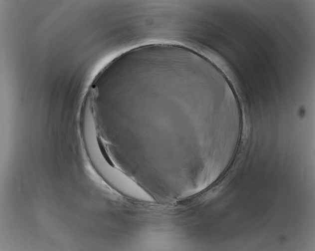 X0000116280958200912211816