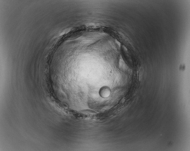 X0000116280961200912211816