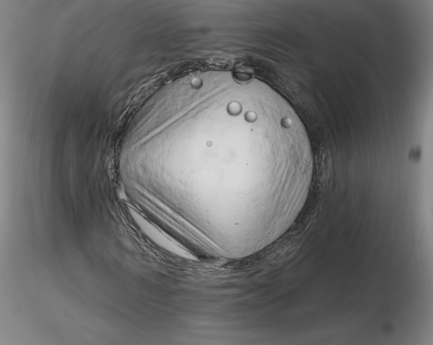 X0000116280962200912211816