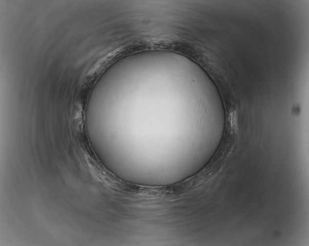 X0000116280963200912211816