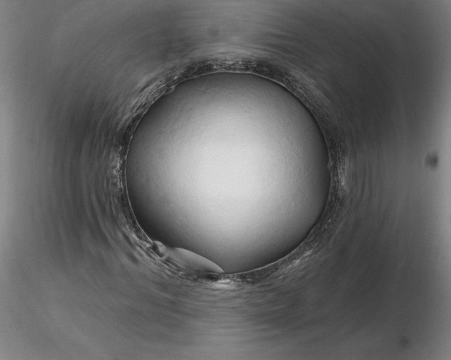 X0000116280964200912211816