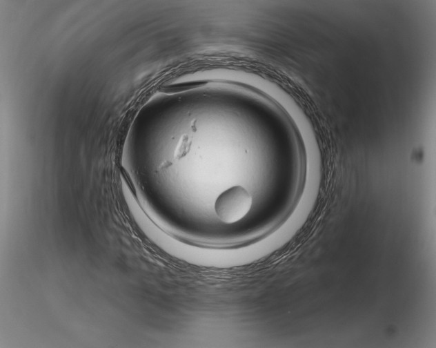 X0000116280965200912211816