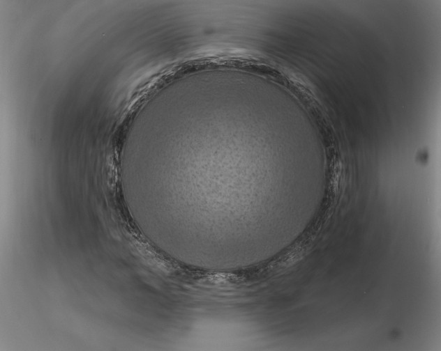 X0000116280966200912211816