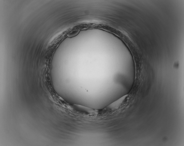 X0000116280967200912211816