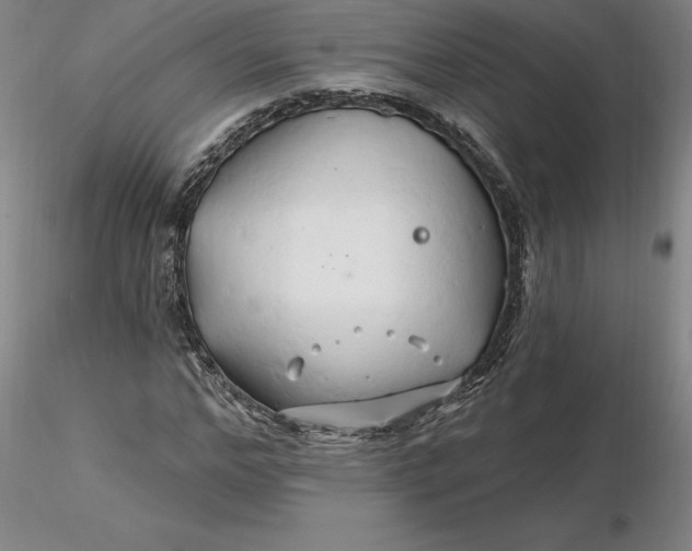 X0000116280968200912211816