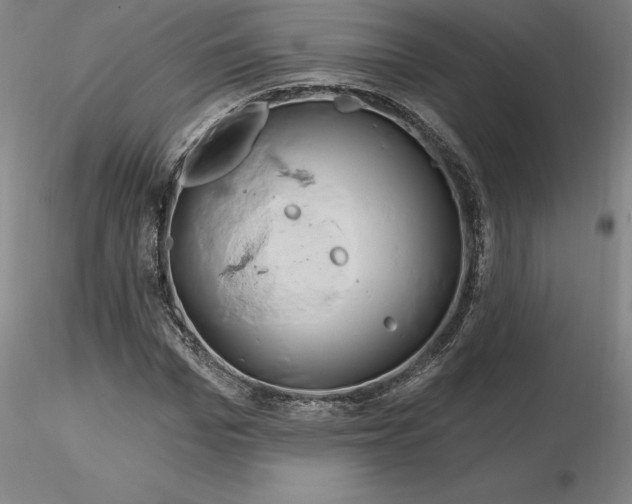 X0000116280969200912211816