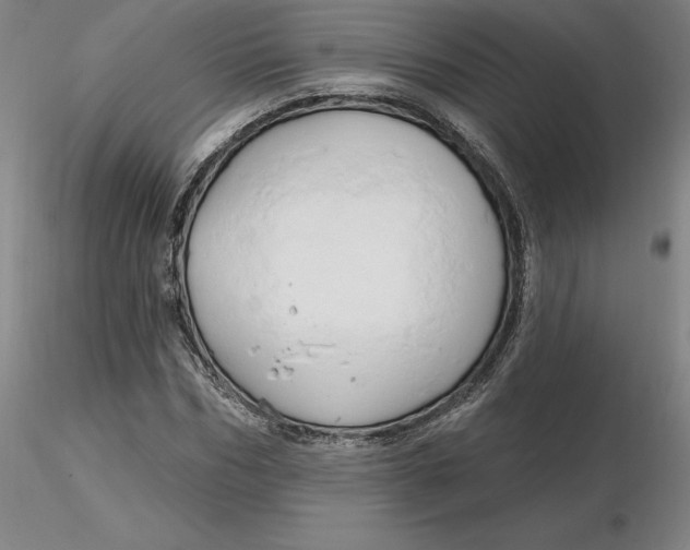 X0000116280970200912211816