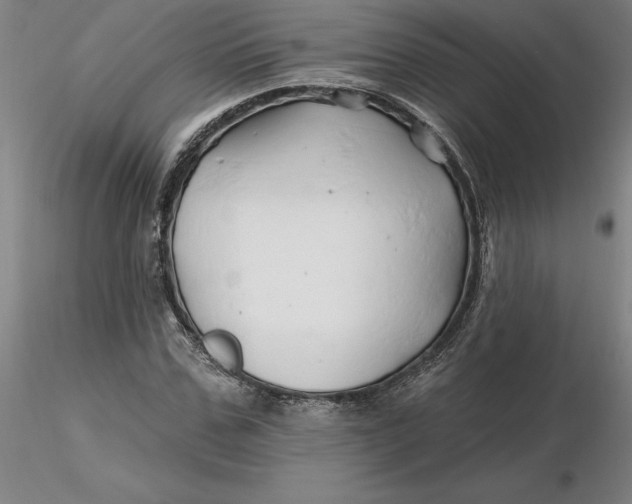 X0000116280971200912211816