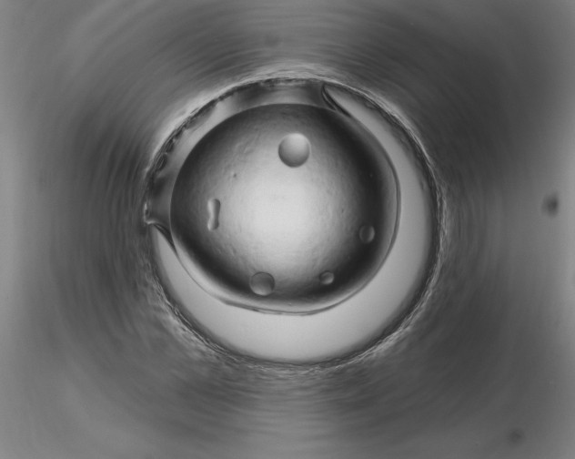 X0000116280973200912211816