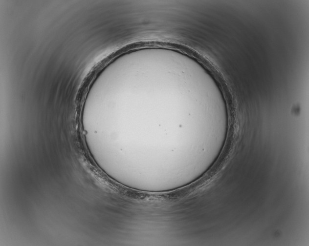 X0000116280974200912211815