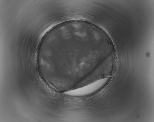 X0000116280975200912211815