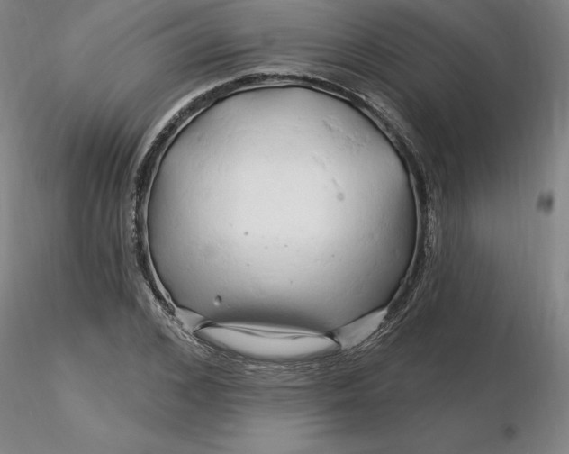 X0000116280976200912211815