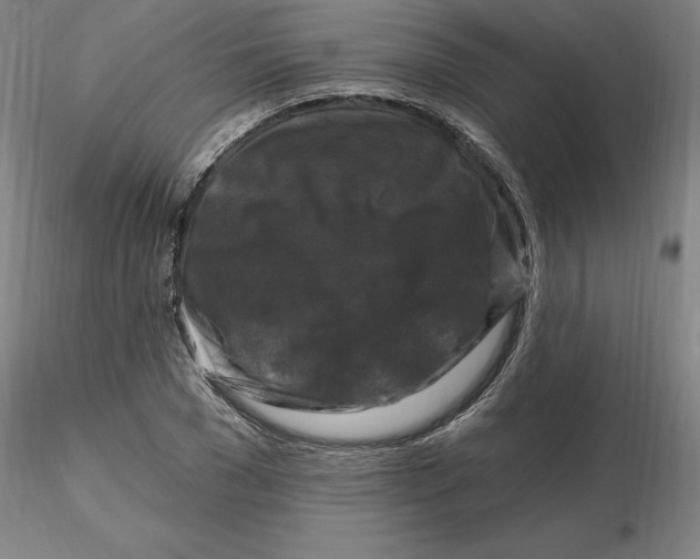 X0000116280977200912211815