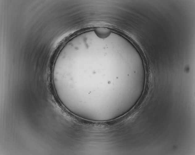 X0000116280979200912211815