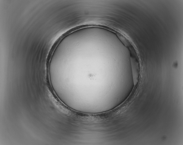 X0000116280980200912211815