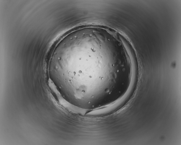 X0000116280981200912211815