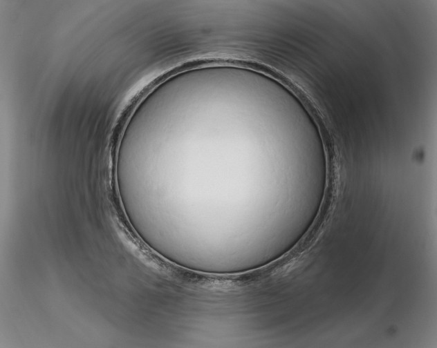 X0000116280982200912211815