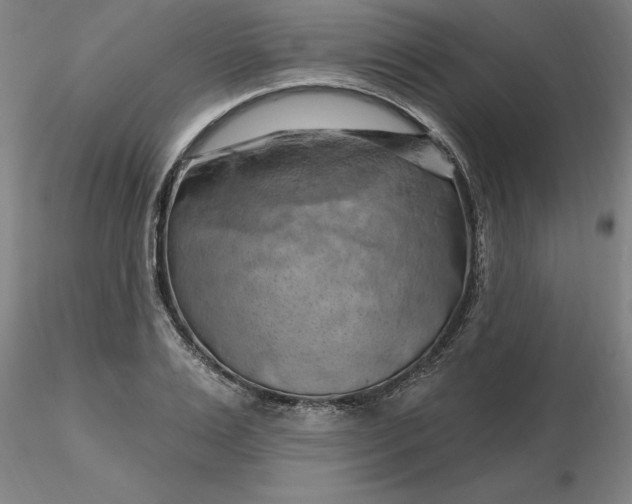 X0000116280983200912211815