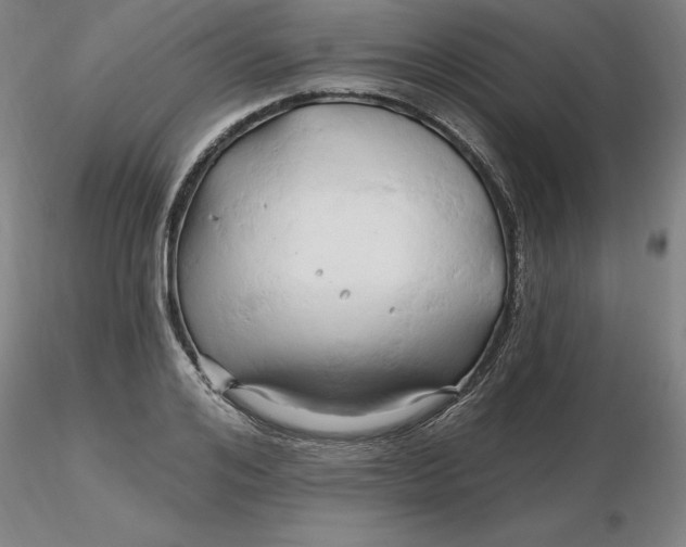 X0000116280984200912211815