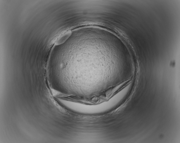 X0000116280985200912211815