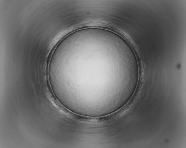 X0000116280986200912211815