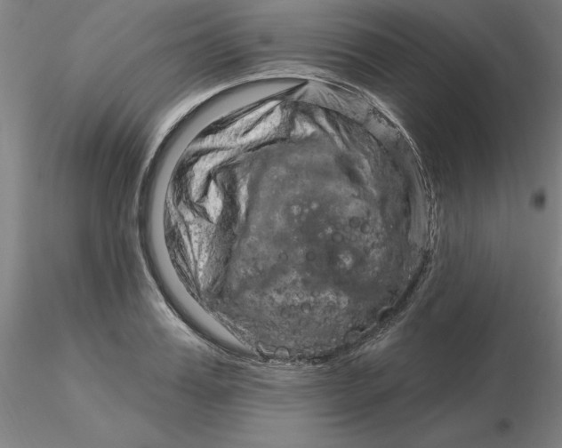 X0000116280987200912211815