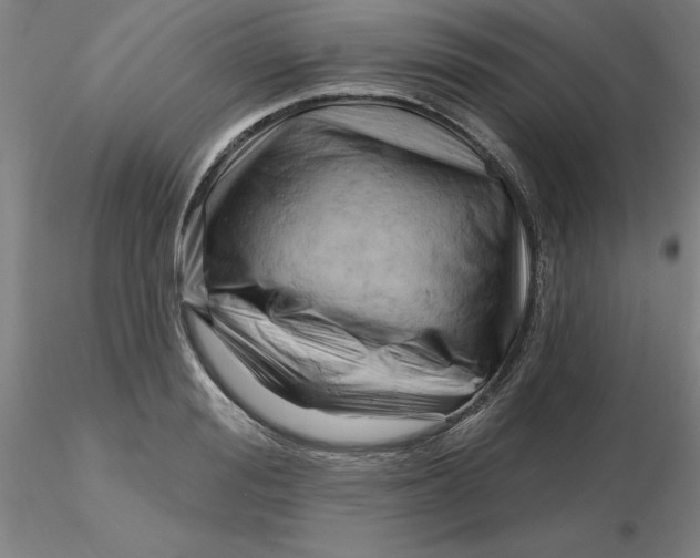 X0000116280988200912211815