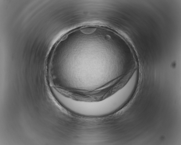 X0000116280989200912211815