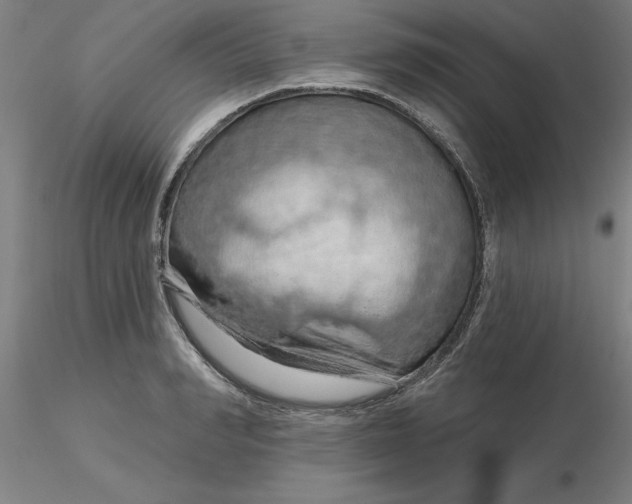 X0000116280990200912211815