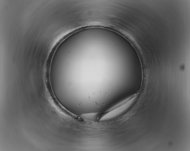 X0000116280991200912211815