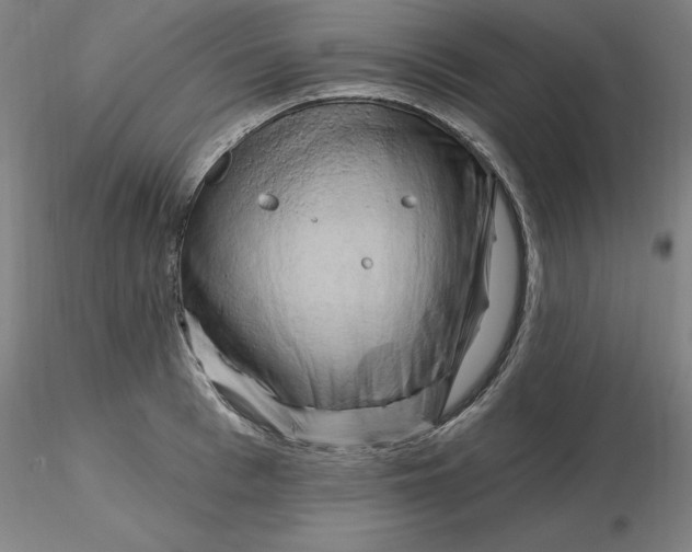 X0000116280993200912211815