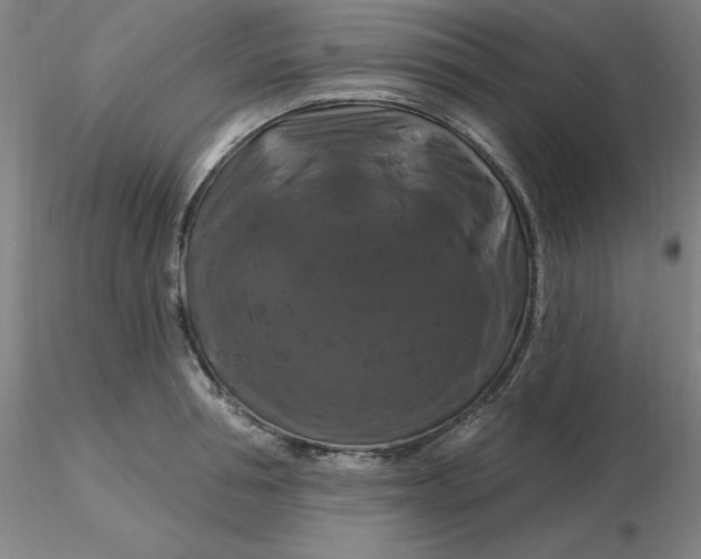 X0000116280994200912211815